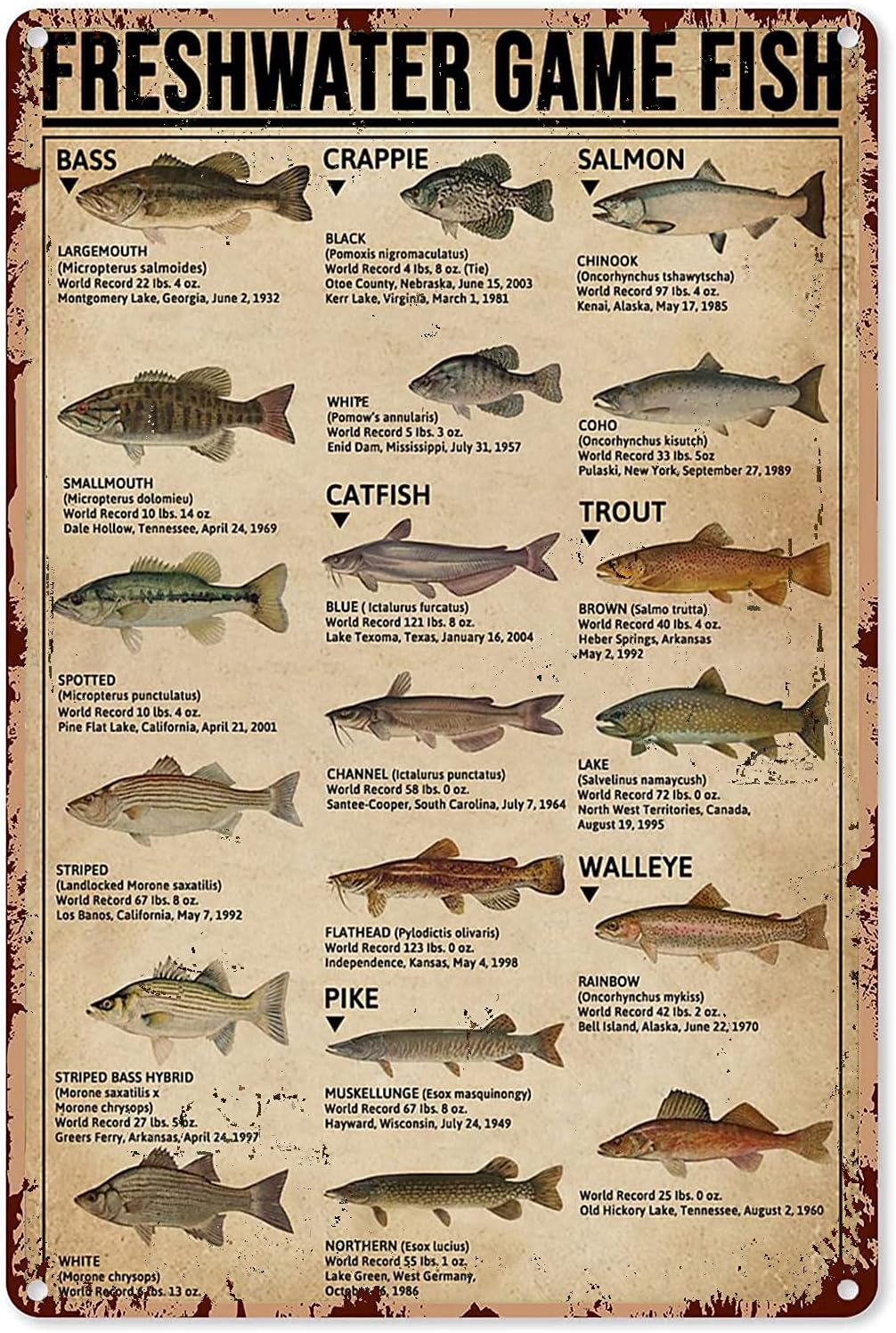Y1,Fishing Art Posters Metal S - огляд і ціна Home Decor Games Free