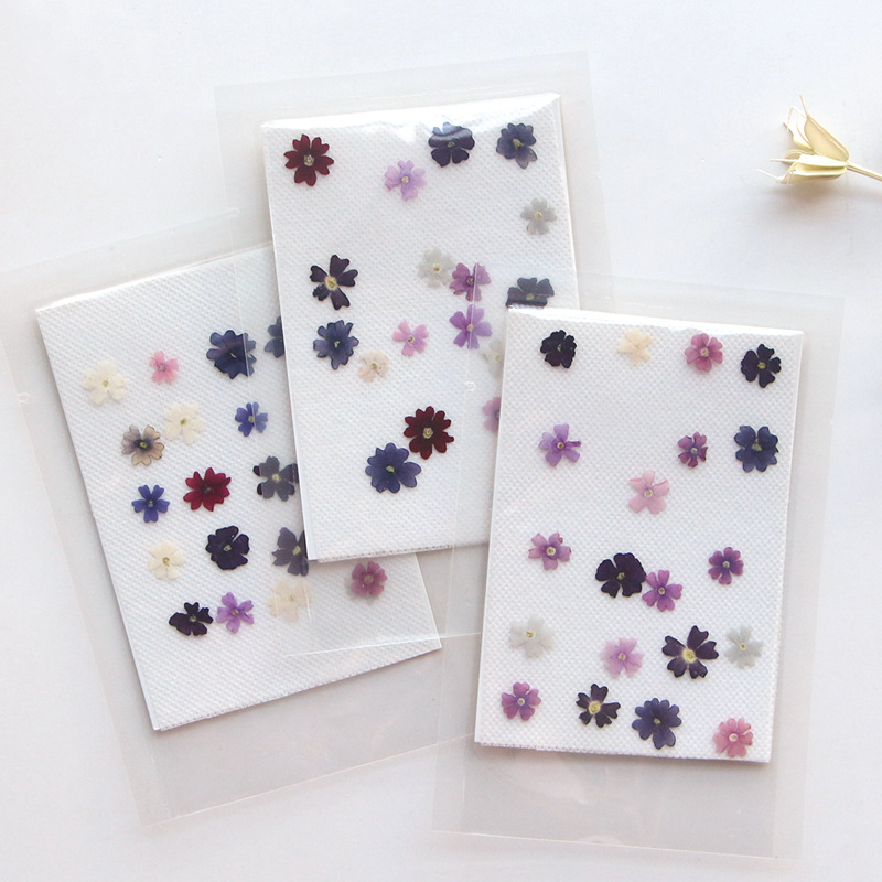 40pcs/lot,Mini Beauty Cherry p - огляд і ціна Pressed Flower Frame