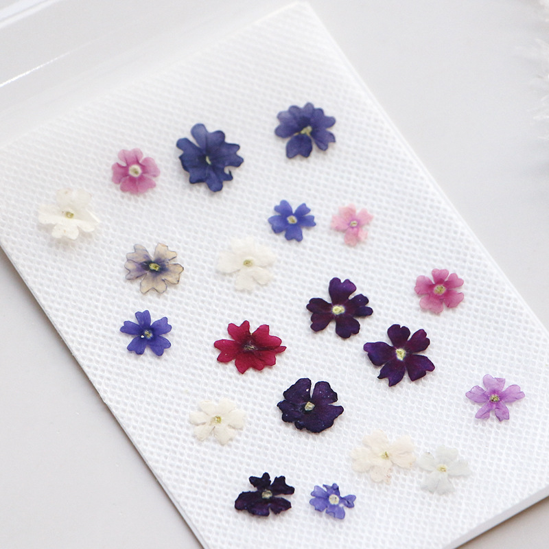 40pcs/lot,Mini Beauty Cherry p - огляд і ціна Pressed Flower Frame