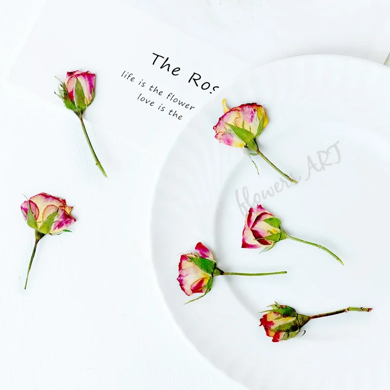 Pressed Rose Bud Flower Petals - огляд і ціна Pressed Flower Frame