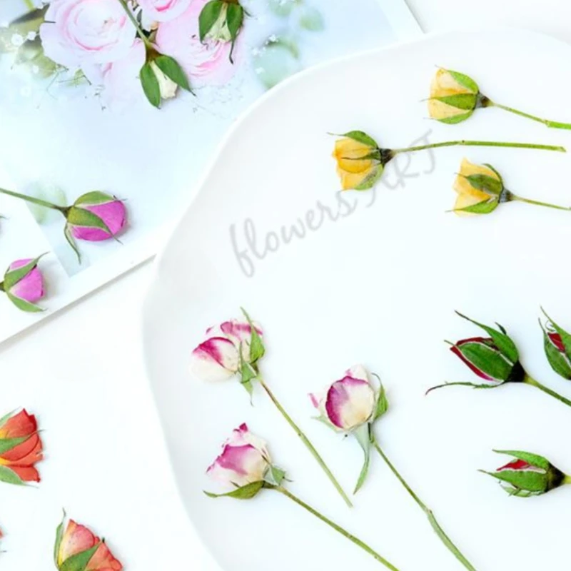 Pressed Rose Bud Flower Petals - огляд і ціна Pressed Flower Frame