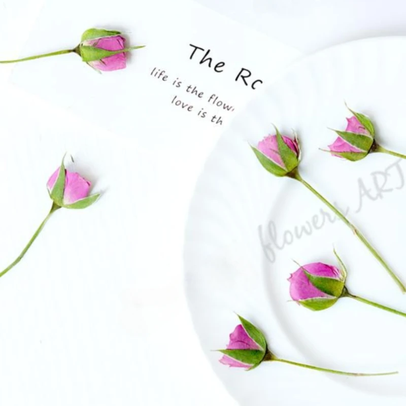 Pressed Rose Bud Flower Petals - огляд і ціна Pressed Flower Frame