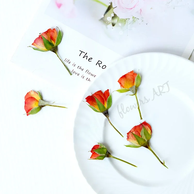 Pressed Rose Bud Flower Petals - огляд і ціна Pressed Flower Frame