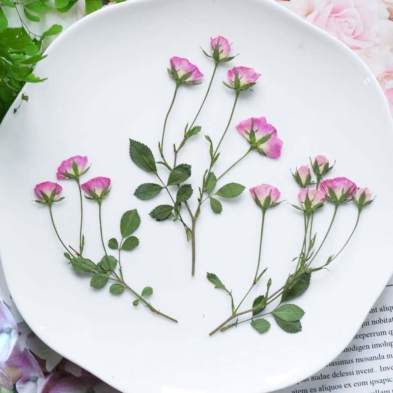12pcs,Mini Pink Rose Pressed F - огляд і ціна Pressed Flower Frame
