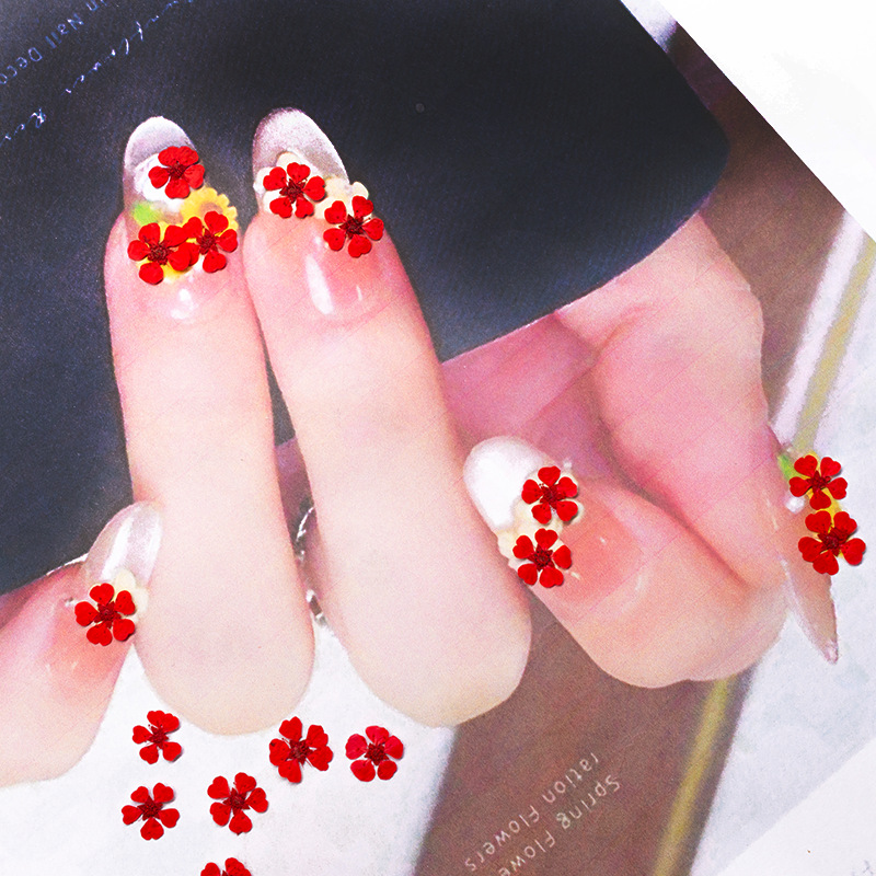 96Pcs Mini 1.5cm Natural Press - огляд і ціна Pressed Flower Frame