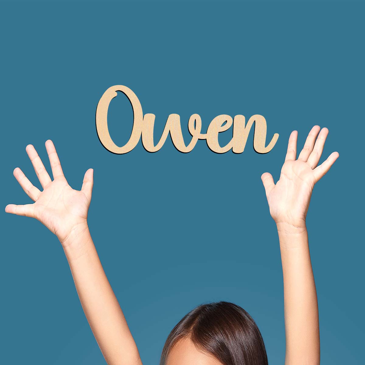 1PC Long-Lasting owen example  - огляд і ціна Home Decor Examples