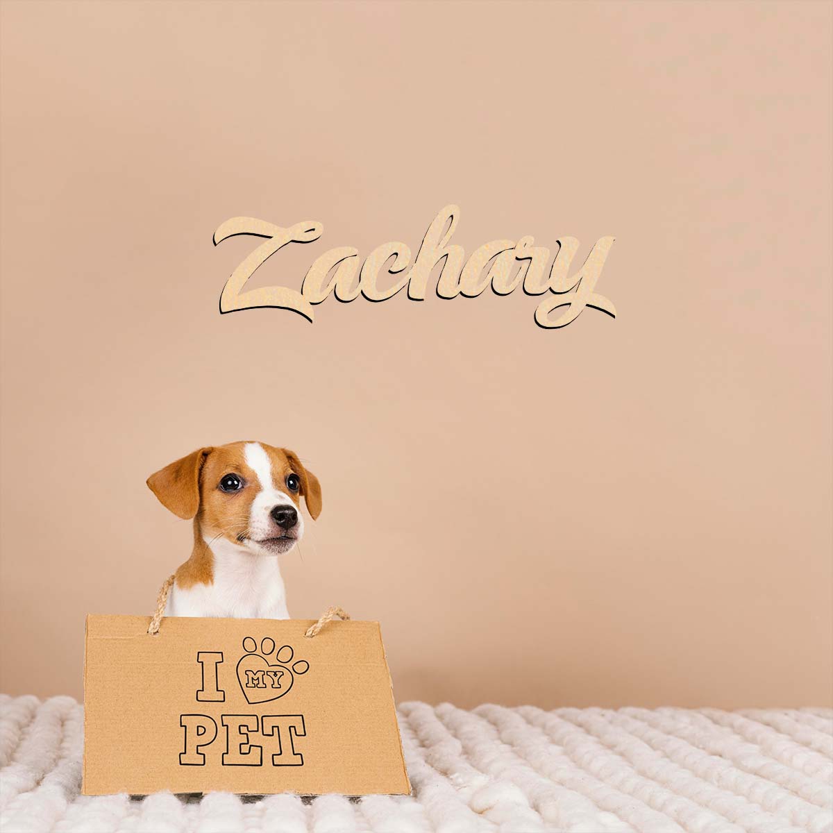 1pc home decor Zachary example - огляд і ціна Home Decor Examples