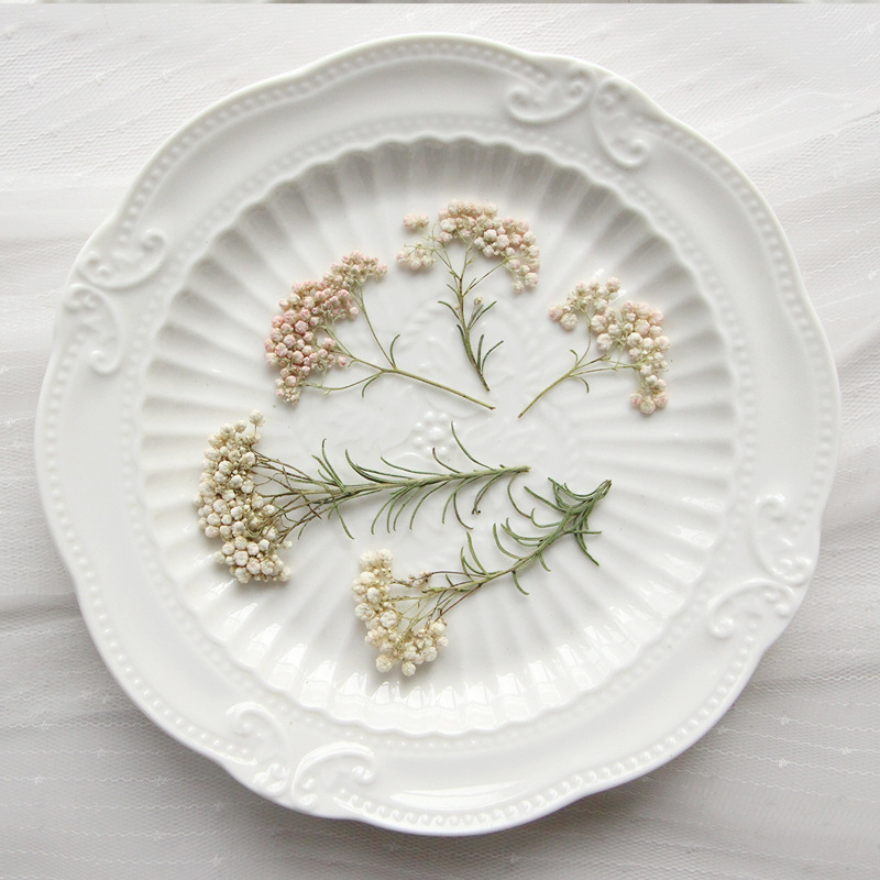 12pcs, Nature Millet Flower Br - огляд і ціна Pressed Flower Frame