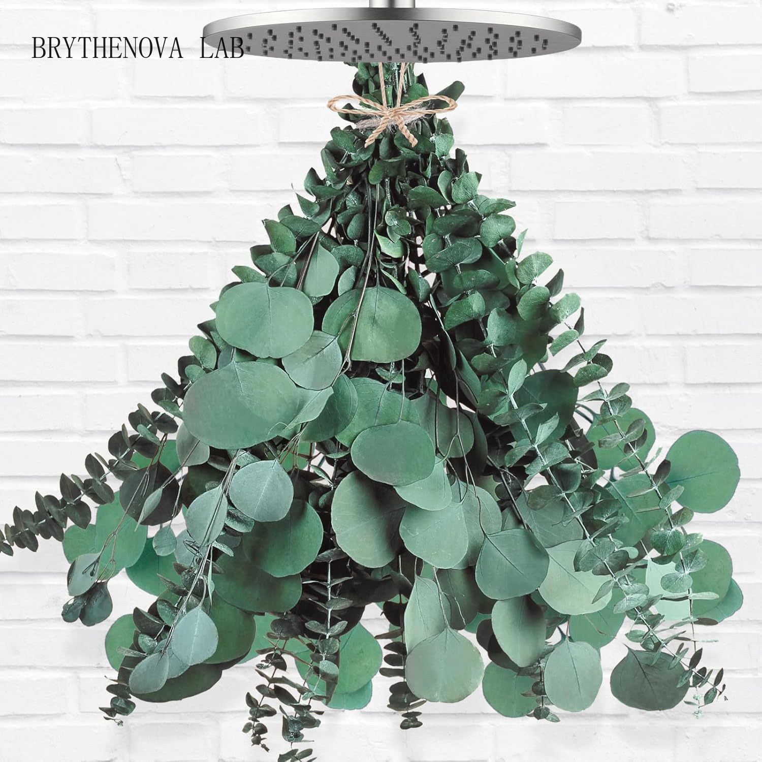 12 Pcs Large Dried Eucalyptus  - огляд і ціна Home Decor Garland