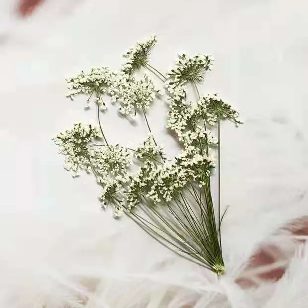 5-7cm/12pcs,Snow Tiny Flowers  - огляд і ціна Pressed Flower Frame
