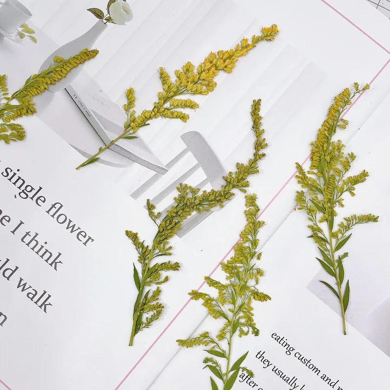 6-10cm/24pcs, Natural Pressed  - огляд і ціна Pressed Flower Frame