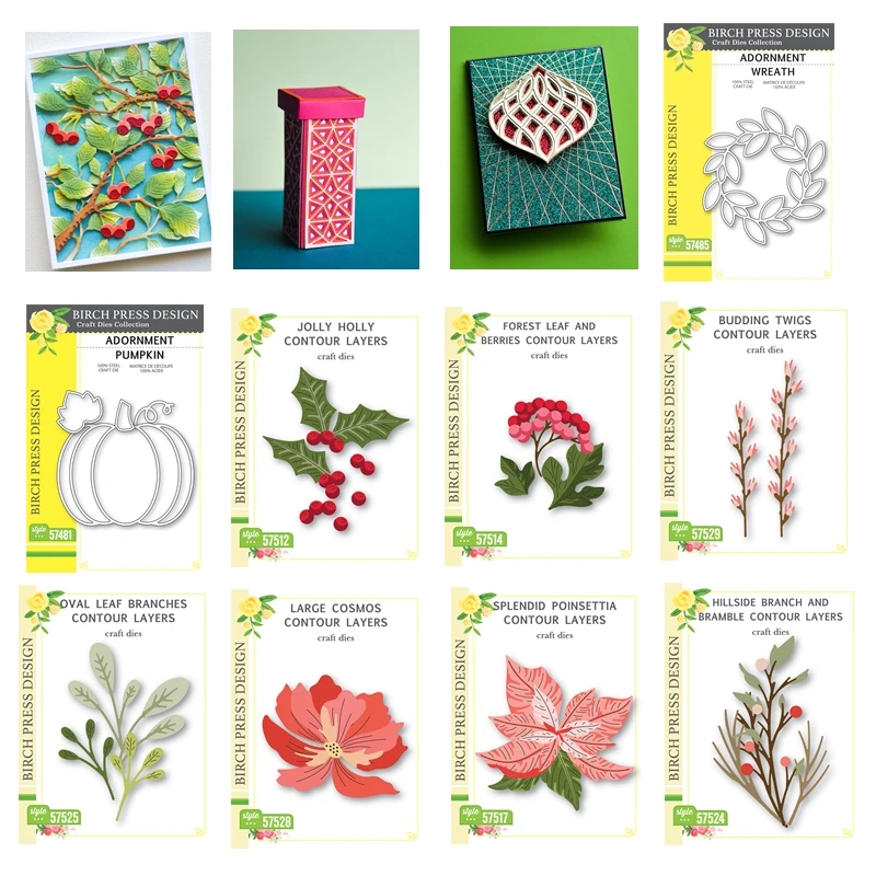 2025 Birch Press Design Layer  - огляд і ціна Pressed Flower Frame